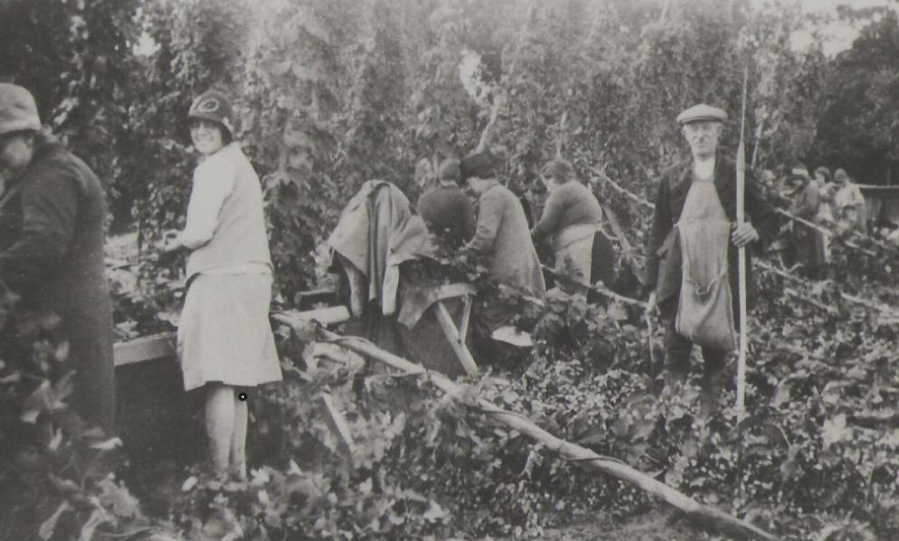 Hop Picking